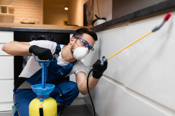 Best Wasp Removal Services  in Spencerport, NY