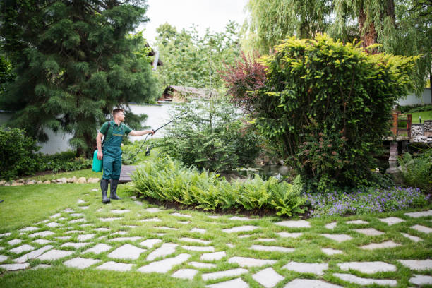 Best Pest Inspection Near Me  in Spencerport, NY