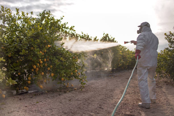Professional Pest Control in Spencerport, NY
