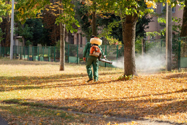 Best Pest Removal Services  in Spencerport, NY