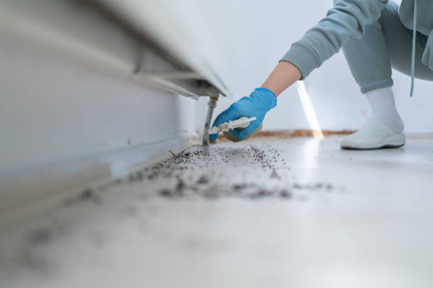 Best Affordable Pest Control Services  in Spencerport, NY
